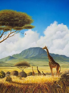 Giraffe nella savana